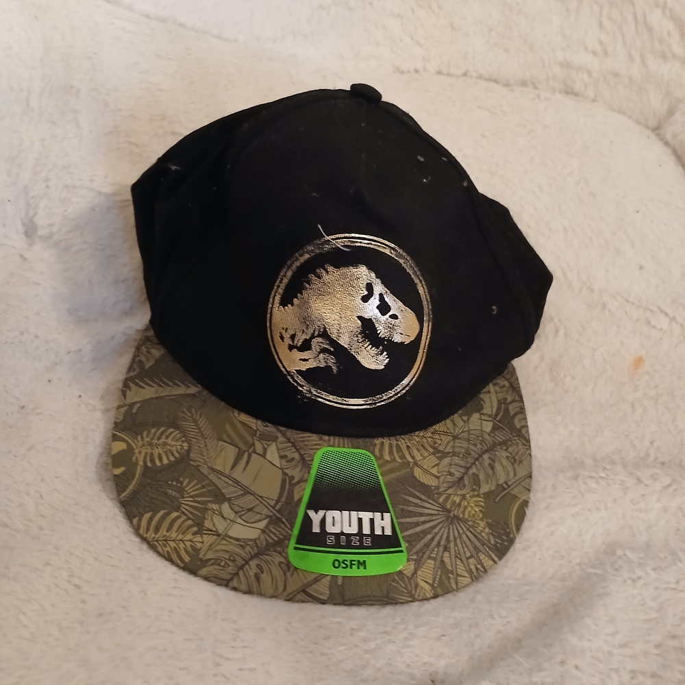 Black and Green Dinosaur Cap